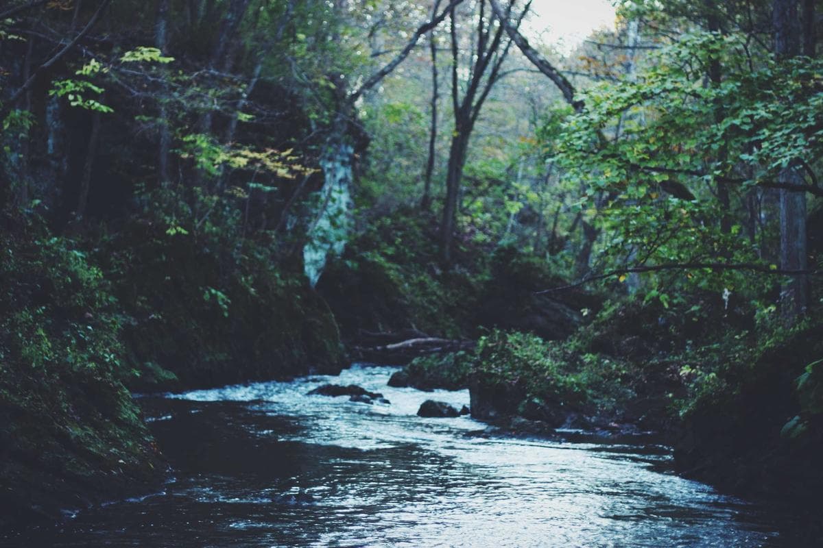 One Idea, Many Channels: Why Content Transformation Is Becoming a SaaS Workflow
